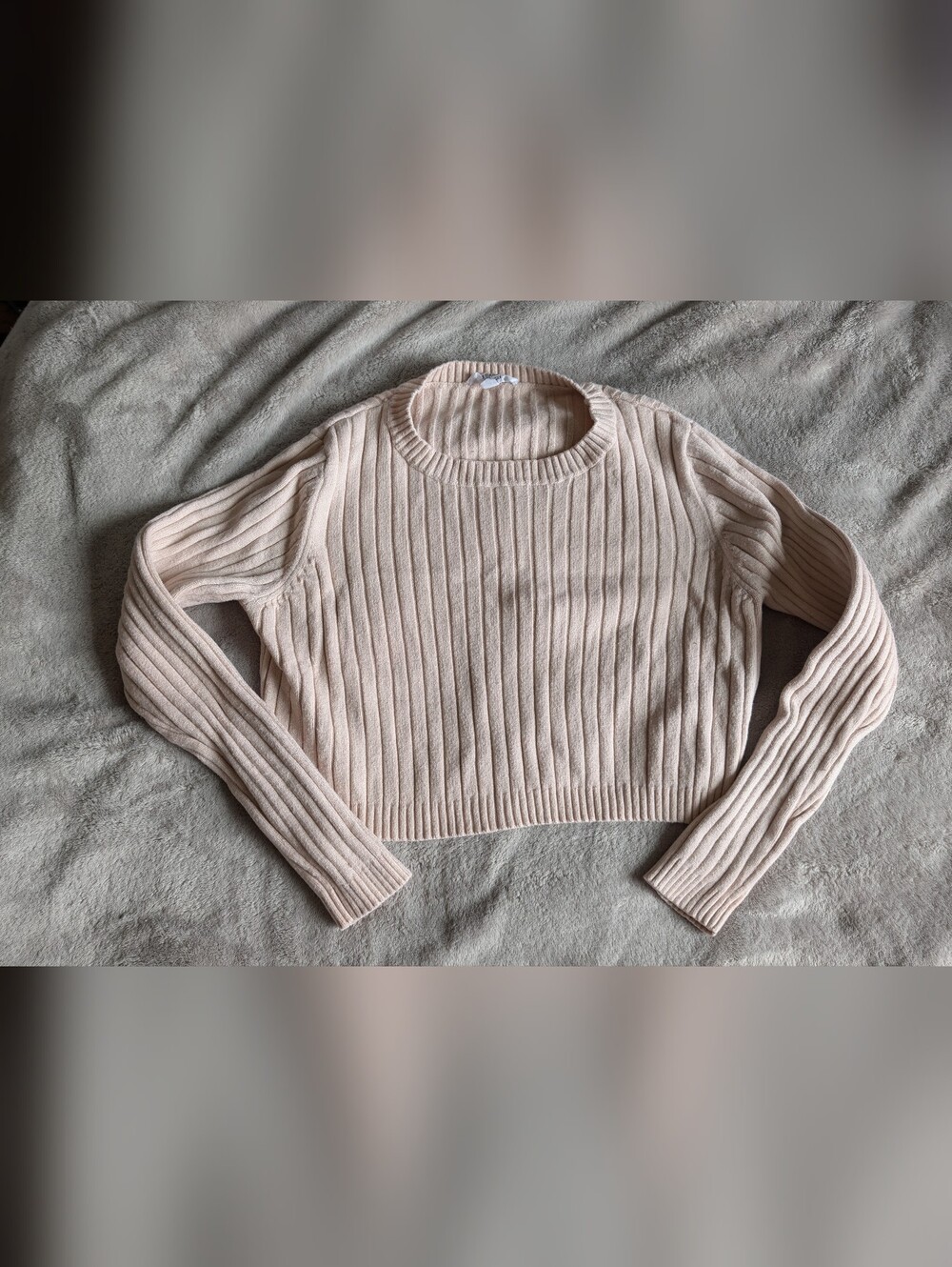BB Dakota by Steve Madden Ribbed Cropped Crew Sweater - Cream